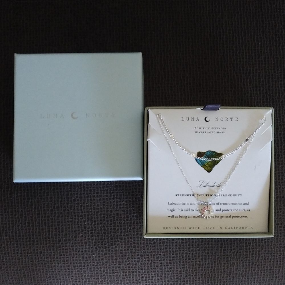 Luna🌙 Norte Double✌️ Silver🤍 Necklace - NIB - Picture 11 of 15